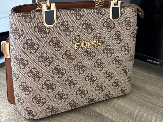 Guess kott