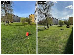 Muru niitmine ja krundi hooldus (1 foto / 4)