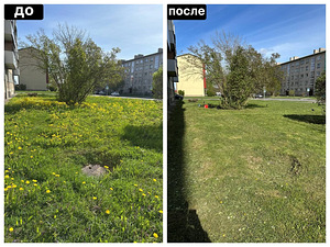 Muru niitmine ja krundi hooldus (2 foto / 4)