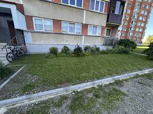 Muru niitmine ja krundi hooldus (3 foto / 4)
