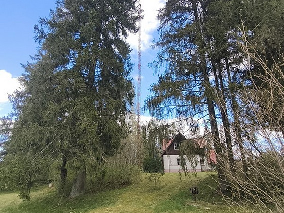Müüa vana mast