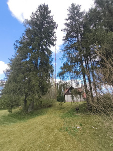 Müüa vana mast (1 foto / 9)