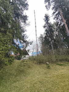 Müüa vana mast (5 foto / 9)