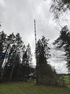 Müüa vana mast (7 foto / 9)