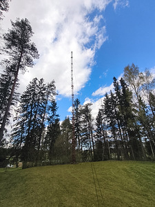 Müüa vana mast (9 foto / 9)