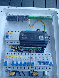 Elektrikilp (2 foto / 2)