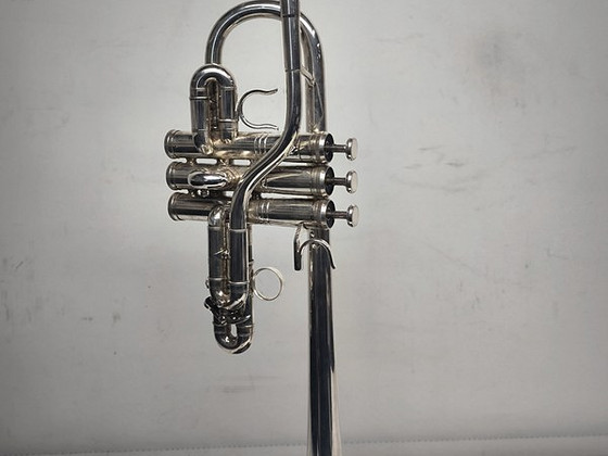 Trompet Weril Regium concert 2