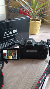 Canon EOS R8 +RF 24-50 f/4.5-6.3 IS STM (2 foto / 8)