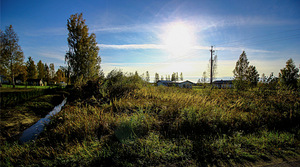 Välja tee 3a, Papsaare, Pärnu linn, Pärnumaa (5 фото из 5)