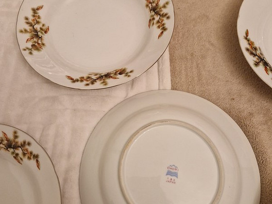 Jaapani käbidega supi/ pasta taldrikud