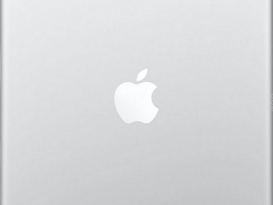 Tahvelarvuti IPad Air 2 32Gb + USB kaabel + ümbrik