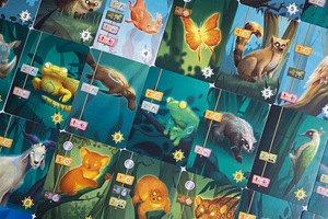 Настольная игра Living Forest (2 фото из 10)