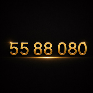 VIP NUMBER (1 фото из 1)