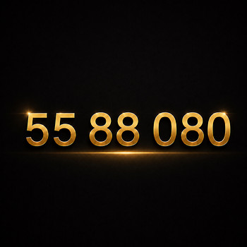 VIP NUMBER