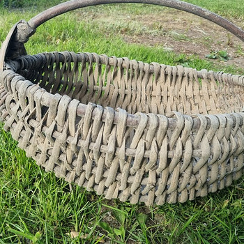 Punutud korvid