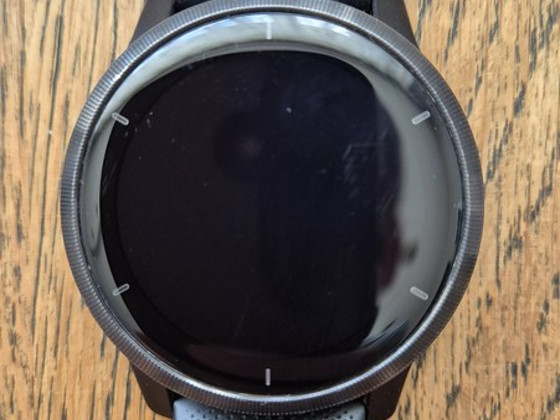 Garmin Venu 2 (45 мм)