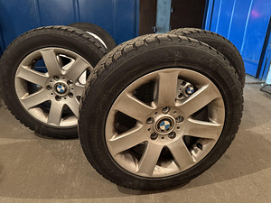 Оригинальные диски BMW с зимней резиной (6 фото из 9)
