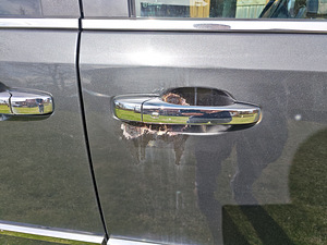 Lancia Voyager 2011 (9 foto / 9)