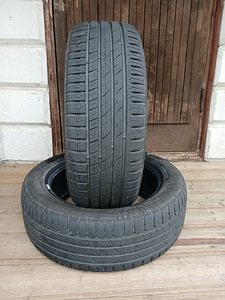 195/55/16 Nokian Hakka Green 2 (1 фото из 3)
