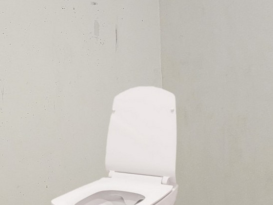 WC remont