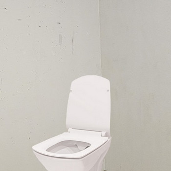 WC remont