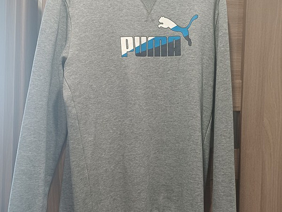 Puma dressipusa poisile 176