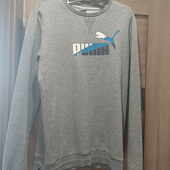 Puma dressipusa poisile 176