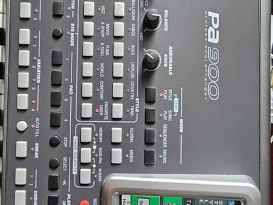 Korg pa900