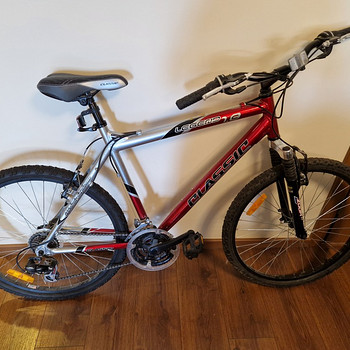 Meeste jalgratas Classic Legend 1.6