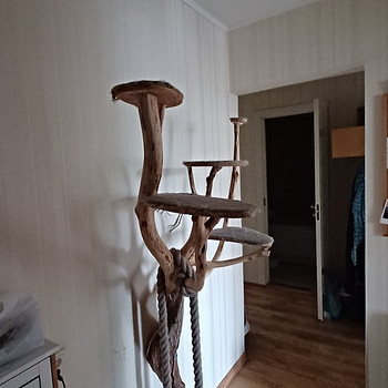 Дерево для кошки