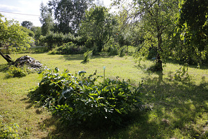 Hõbepaju tn 41, Püssi, Lüganuse vald, Ida-Virumaa (4 фото из 9)