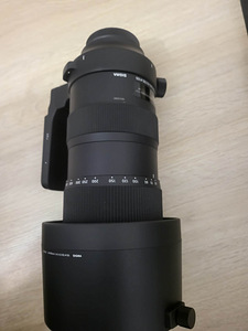 Sigma 60-600mm F4.5-6.3 DG OS HSM Sports (canon) (5 фото из 7)