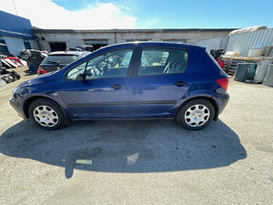 Запчасти для PEUGEOT 307 1,6 BENS (3 фото из 9)