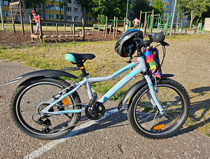Kross lea 20-tolline jalgratas (1 foto / 1)