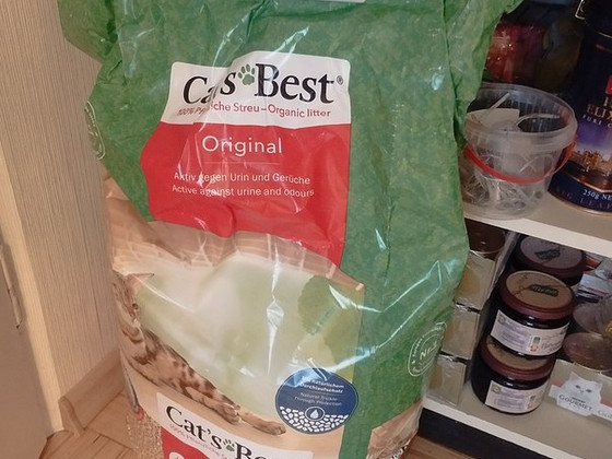 Cat's best original