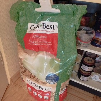 Cat‘s best original