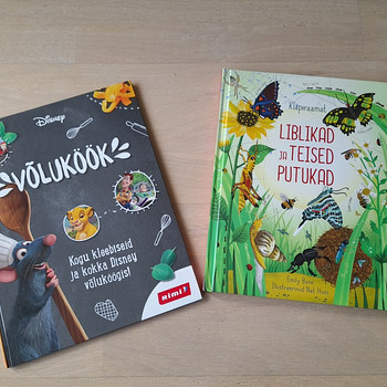 Книжка с клапанами "Бабочки и другие насекомые" + наклейки Rimi (несколько накле...
