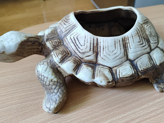 Садовая черепаха