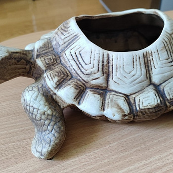 Садовая черепаха