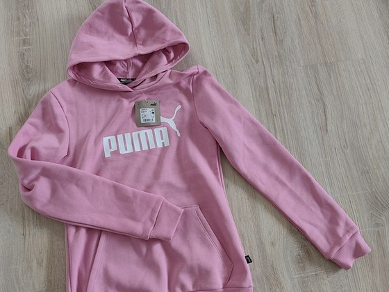 Puma kampsun 164