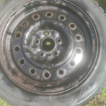 Veljed + Rehvid 40 euro eest Nissan Primera P12-lt