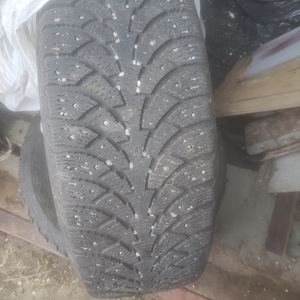 Veljed + Rehvid 40 euro eest Nissan Primera P12-lt (3 foto / 3)