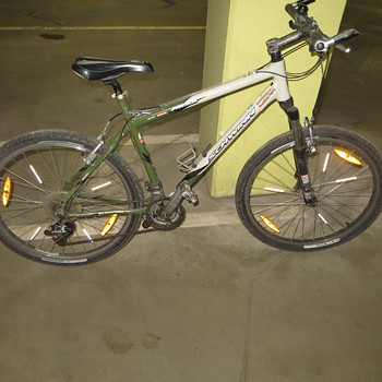 Schwinn