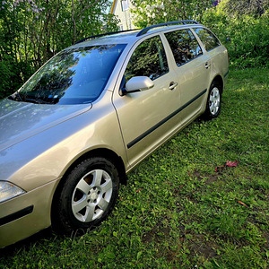 Škoda Oktavia 1.9 TDI 2006 (7 фото из 10)