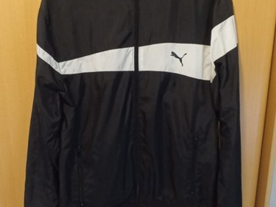 PUMA