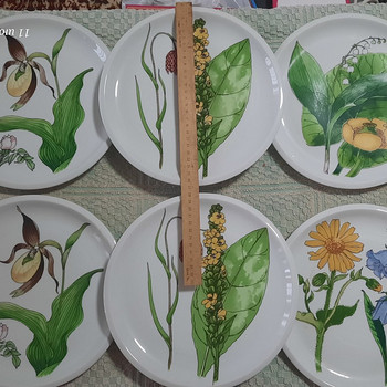 IKEA taldrikud