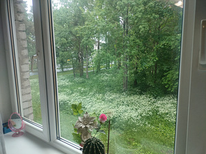 Hariduse tn, Sillamäe, Ida-Virumaa (3 фото из 14)