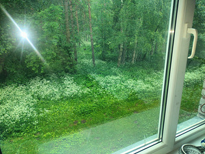 Hariduse tn, Sillamäe, Ida-Virumaa (5 фото из 14)