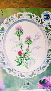 Tikkimiskomplekt Thistle ohaka pildi tegemiseks (2 foto / 4)