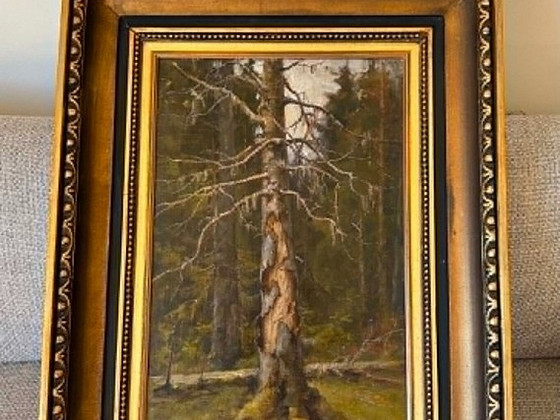 Царская Россия Юлиус фон Клевер картина 'Наиссаар' (Нарген)